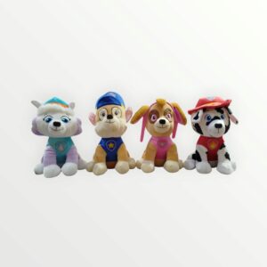 MJ-PAGTE PATRULLA GTE